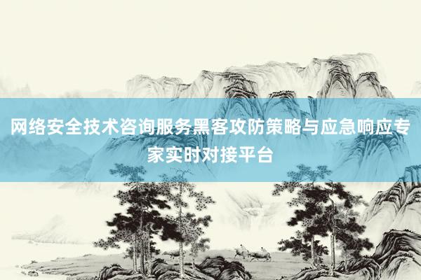 网络安全技术咨询服务黑客攻防策略与应急响应专家实时对接平台