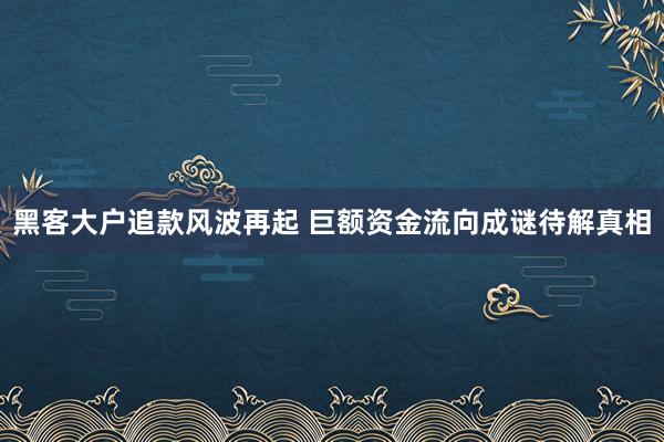 黑客大户追款风波再起 巨额资金流向成谜待解真相